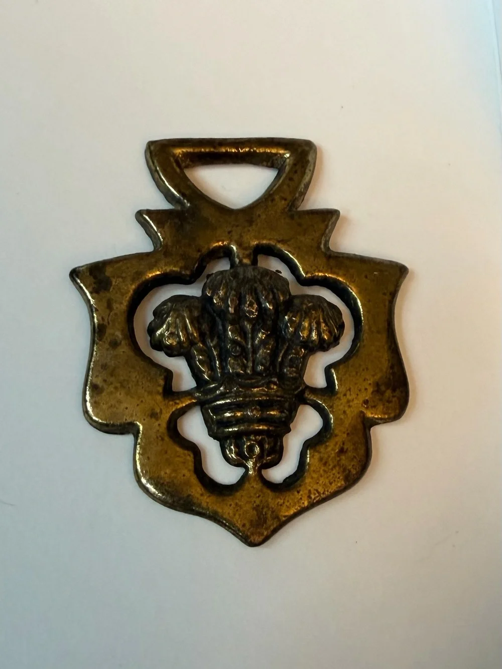 N/A medallion harness
